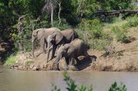 Südafrika - Simbavati River Lodge