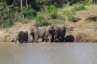 Südafrika - Simbavati River Lodge