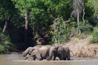 Südafrika - Simbavati River Lodge