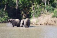 Südafrika - Simbavati River Lodge
