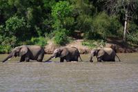 Südafrika - Simbavati River Lodge