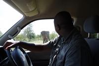 Südafrika - Timbavati Wildreservat