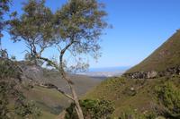 190 Outeniqua-Pass