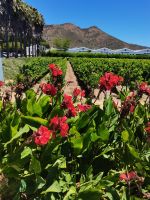 Besichtigung eines Weinguts