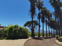 Weingut Südafrika Garden Route @ Anette Rietz EHT