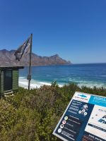 Hai- und Walbeobachtung an der Küste auf dem Weg nach Hermanus @ Anette Rietz EHT