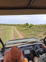 Pirschfahrt mit Abie