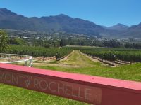Blick auf das Weingut Mont Rochelle in Südafrika @ Anette Rietz EHT