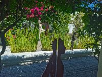 Wein & Kunst in Südafrika auf dem Weingut @ Anette Rietz EHT