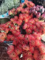 Prächtige Blumensträuße in Kapstadt auf dem Blumenmarkt