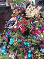 Gefärbte Blumen auf dem Blumenmarkt in Kapstadt