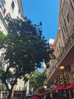 Kapstadt Fußgängerzone