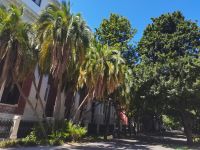 Botanischer Garten Kapstadt 