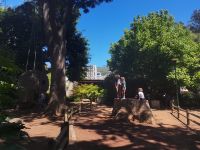 Kapstadts Park