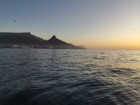 Tafelberg mit Löwenkopf beim Sonnenuntergang