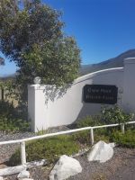 Straußenfarm vor dem Kap 