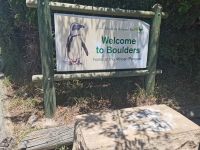 Der Pinguin-Strand Boulders Beach Südafrika @ Anette Rietz EHT