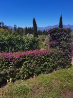 Herrliche Landschaften bei Stellenbosch