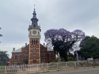 Blühender Jacaranda-Baum neben der evangelischen 