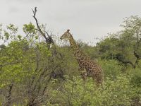 Schaut sie nach uns, oder wir nach ihr?