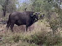 Um dich zu finden, musste der Ranger die Wege verlassen