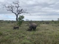 ... ungestört von uns