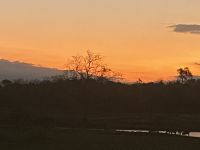 ein herrlicher Picknickplatz 
