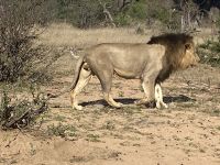 auf dich mussten wir lange warten