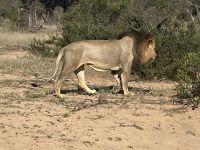 ade, wir haben euch alle gesehen