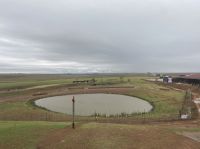 Fahrt nach Timbavati, Pause in Kleinfontein