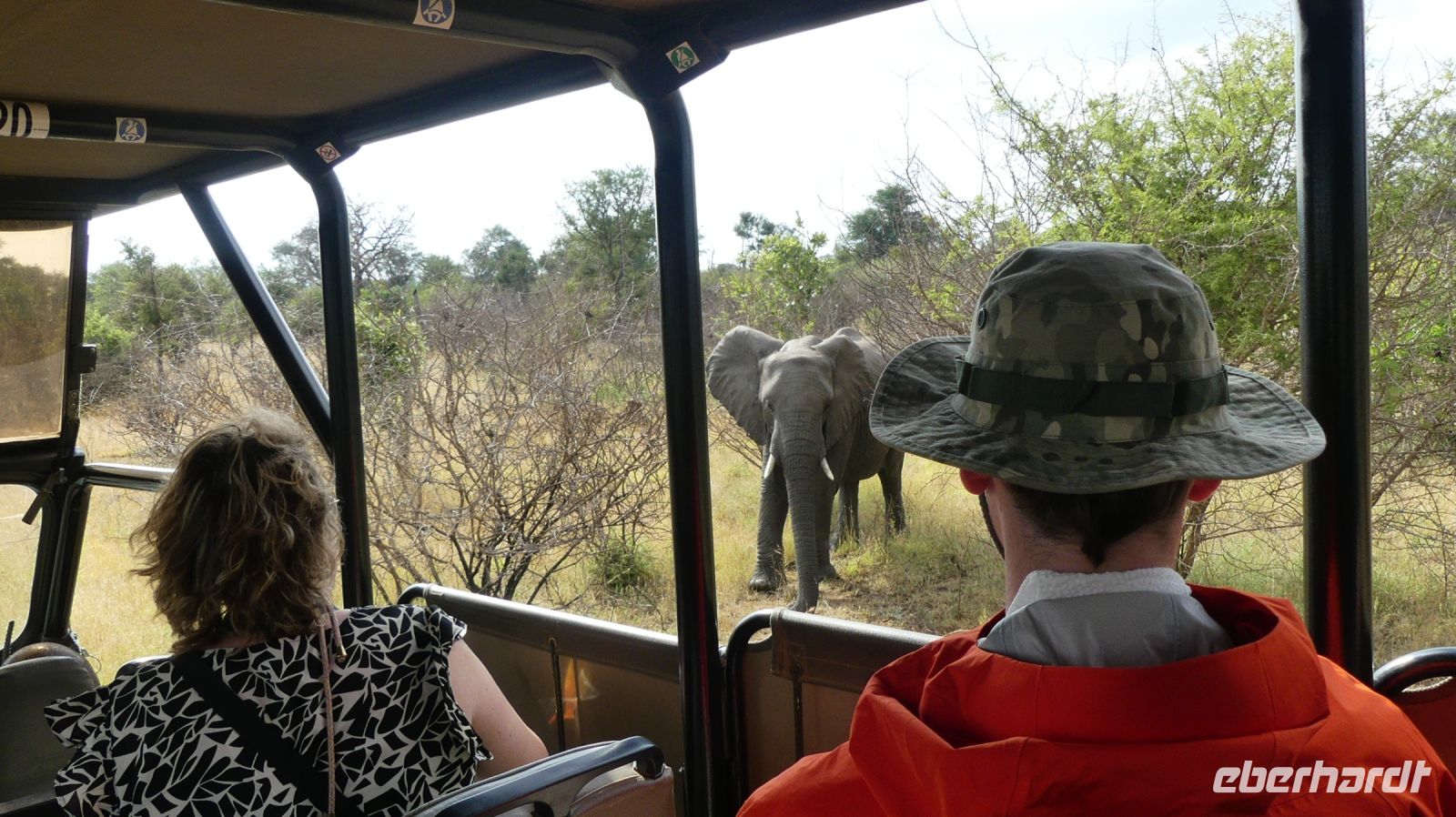 Südafrika -Kruger Nationalpark -  Safari