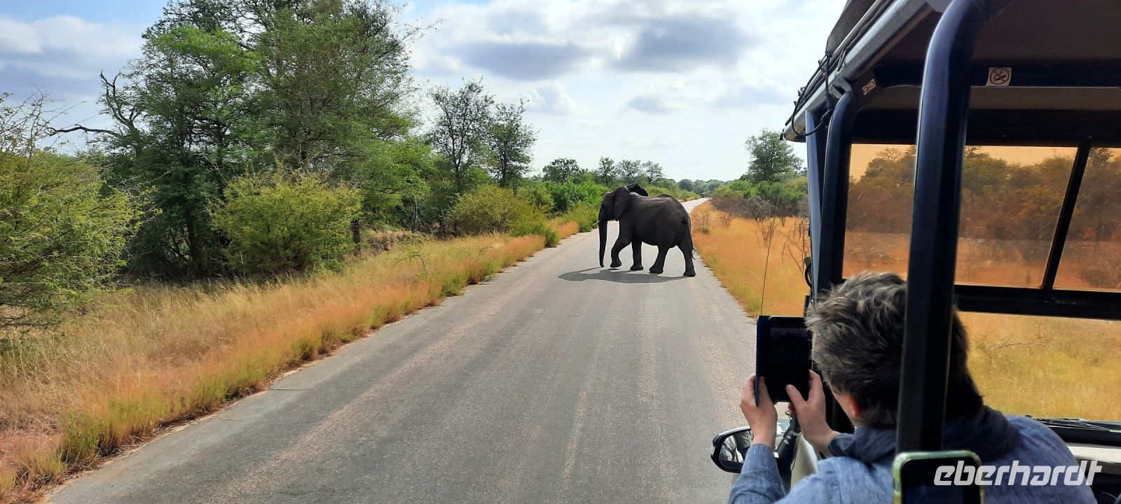 Südafrika -Kruger Nationalpark -  Safari