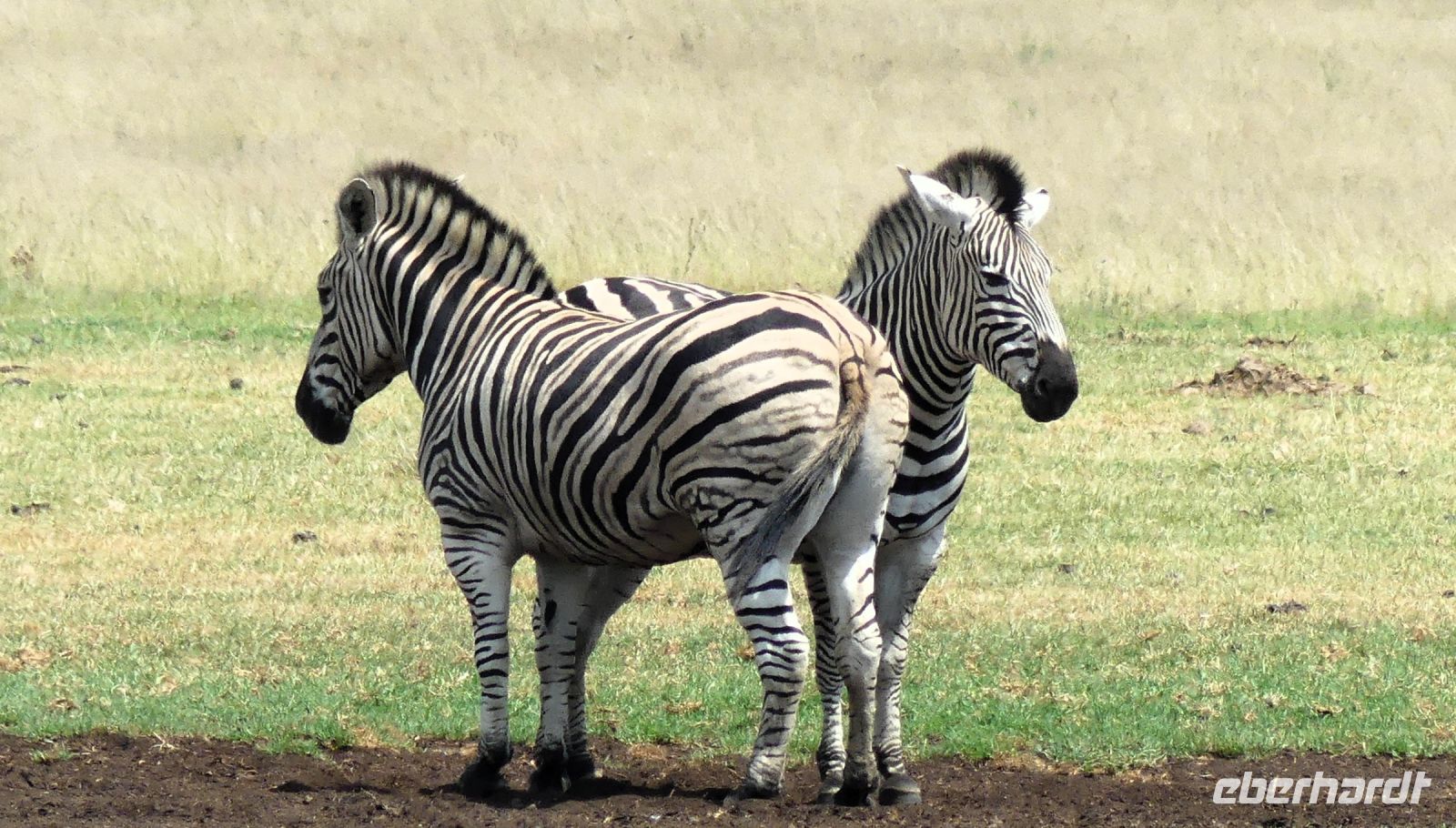 Südafrika  - unterwegs nach Johannesburg