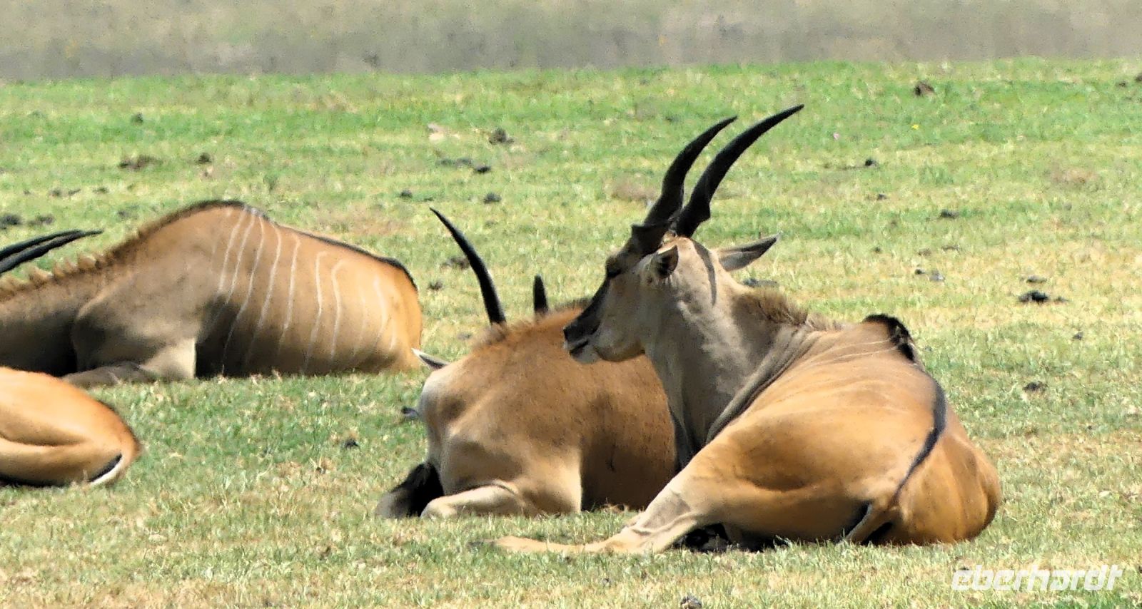 Südafrika  - unterwegs nach Johannesburg