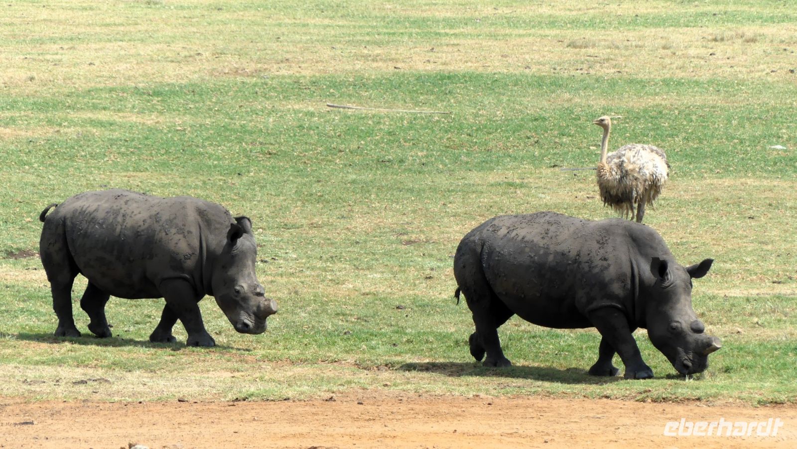 Südafrika  - unterwegs nach Johannesburg