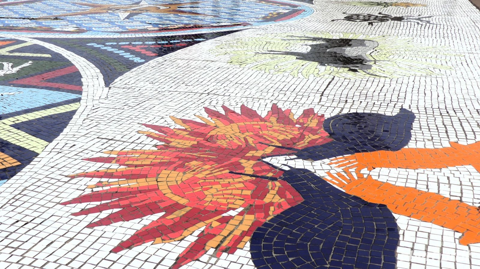 Südafrika - Port Elizabeth - 2. Etappe