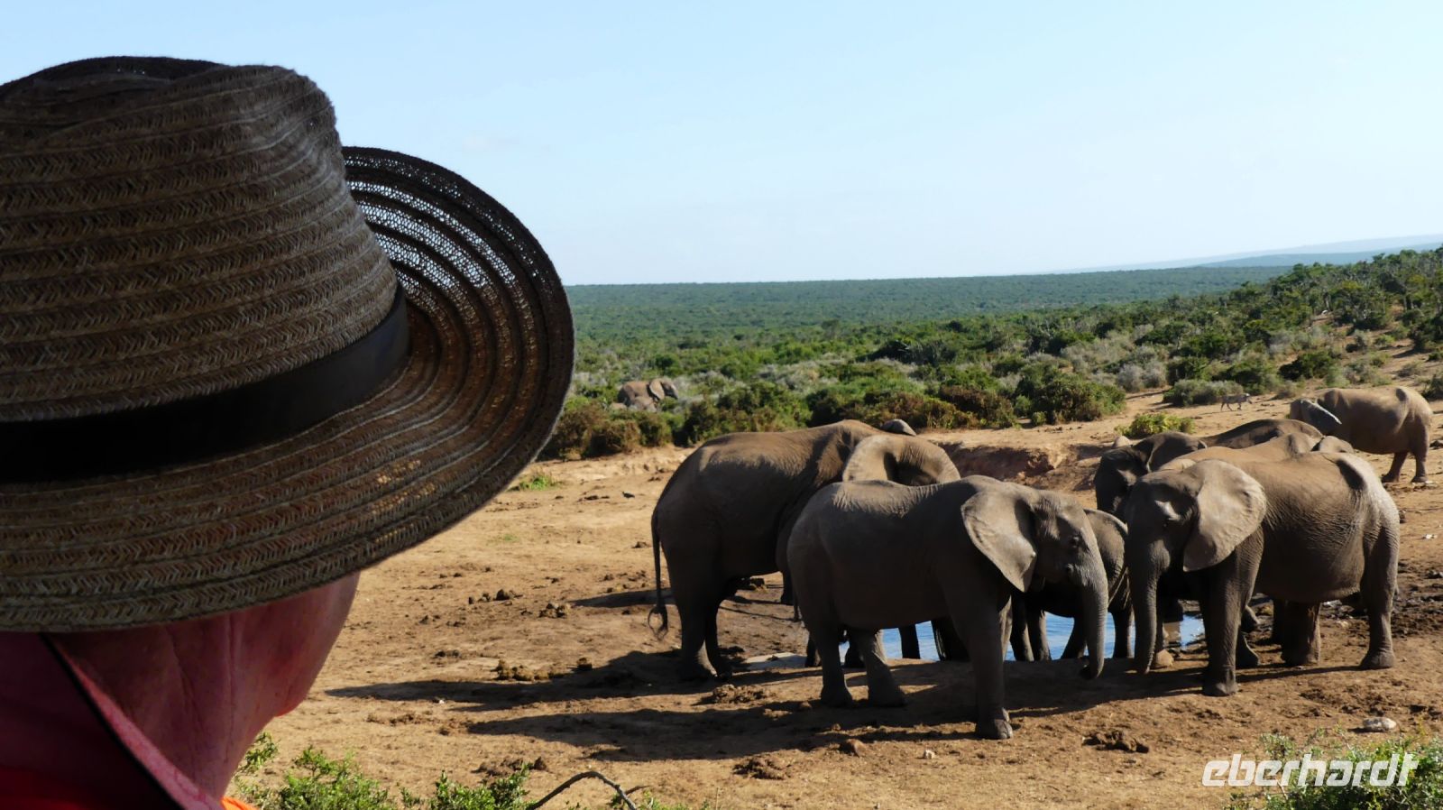 Südafrika - Safari im ADDO