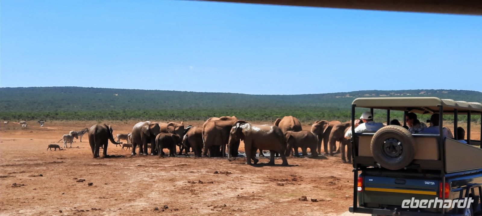 Südafrika - Safari im ADDO
