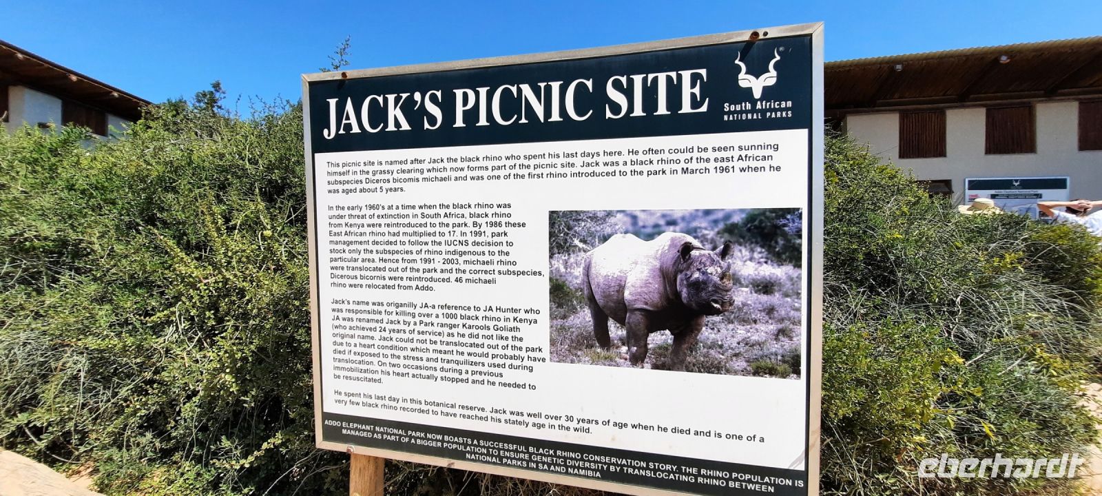 Südafrika - Safari im ADDO - Mittagspause
