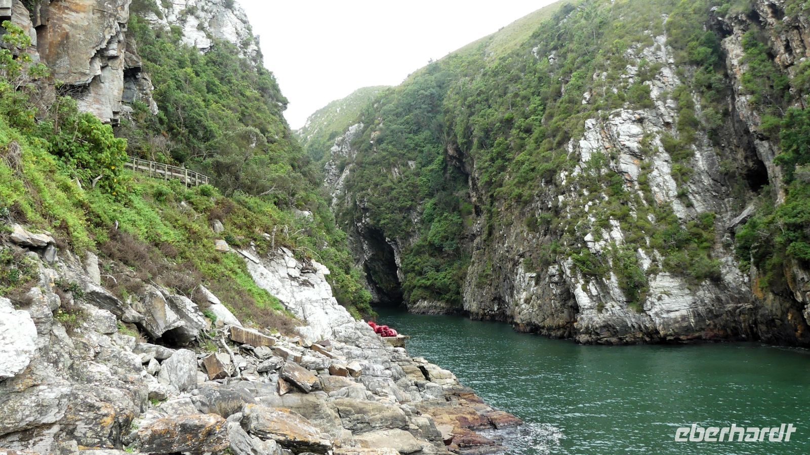 Südafrika - Tsitsikamma Nationalpark