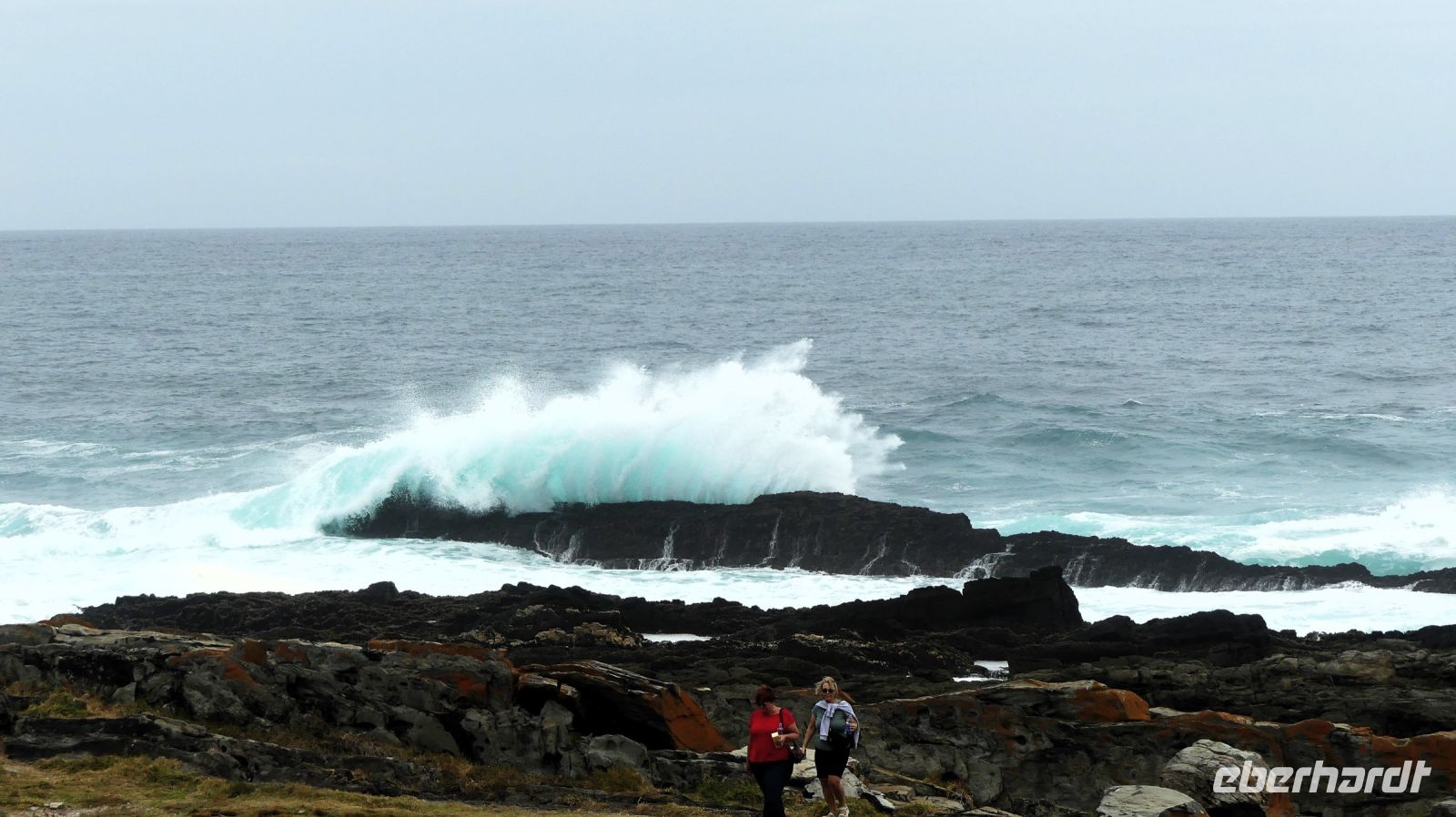 Südafrika - Tsitsikamma Nationalpark