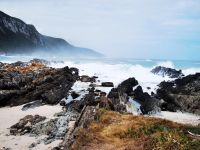 Südafrika - Tsitsikamma Nationalpark