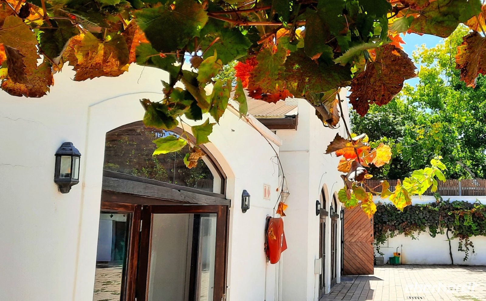 Südafrika - Stellenbosch - Weingut Blauuwklippen