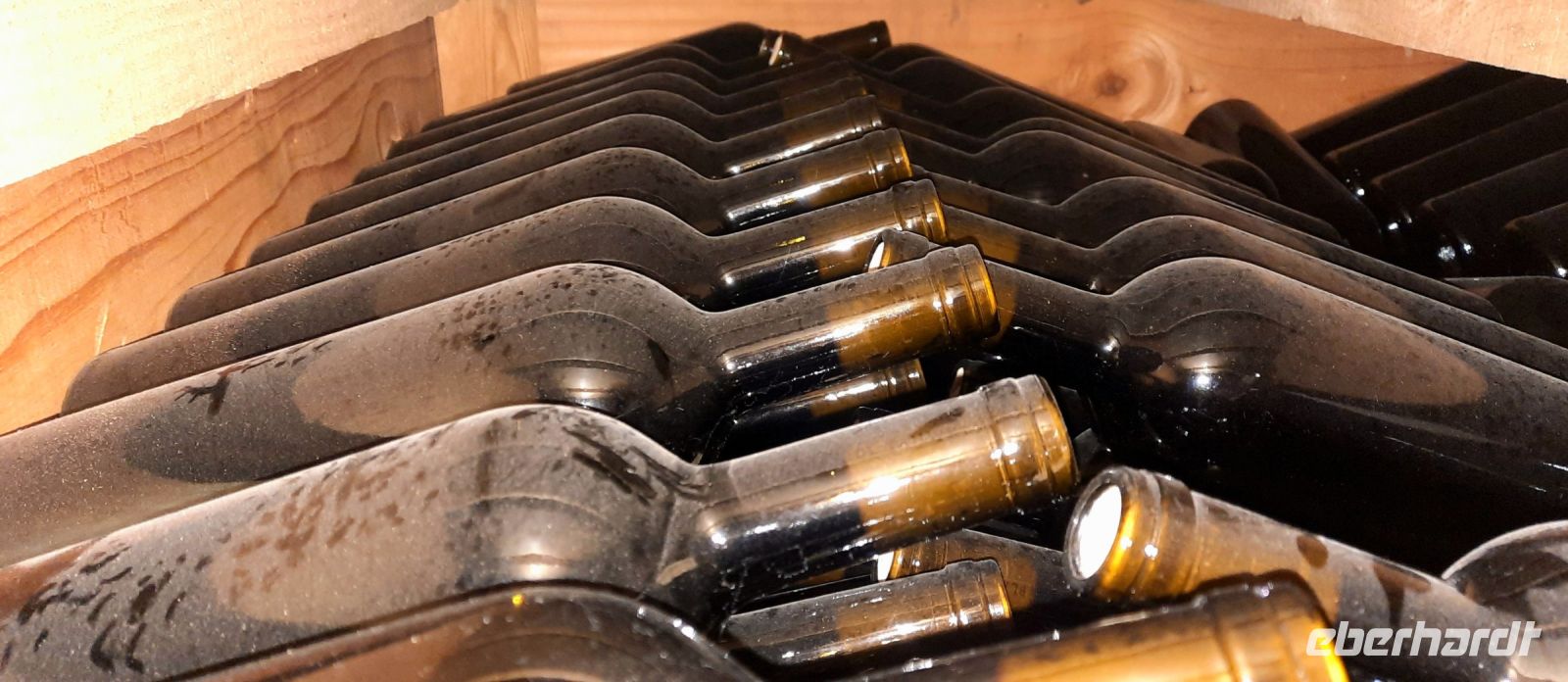 Südafrika - Stellenbosch - Weingut Blauuwklippen