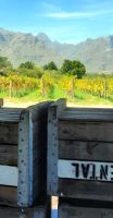 Südafrika - Stellenbosch - Weingut Blauuwklippen