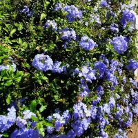 Südafrika - Ausflug Weinregion