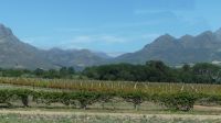 Südafrika - Weinregion