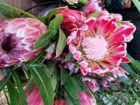 Südafrika - Auf Wiedersehen