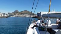 Südafrika - Kapstadt - Cruise mit einem Katamaran