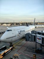 Unser Airbus ist groß, Flughafen Frankfurt
